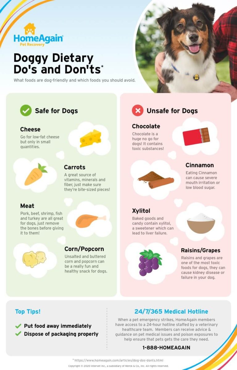 Dog Dietary Do’s and Don’ts – Casper's Rescue Shop